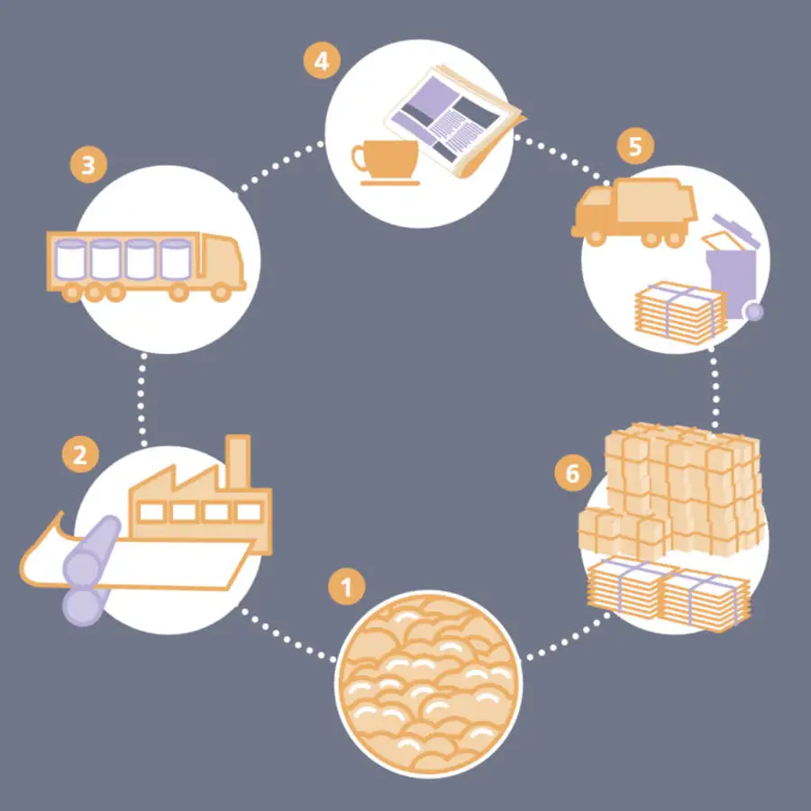Schema wie Papier recycled wird