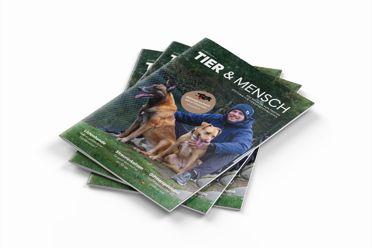 Kundenmagazin 2.0: Print ist kein Relikt. Es ist ein Statement 2